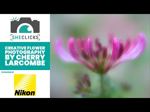 SheClicks Webinar: Creative Flower Photography with Cherry Larcombe