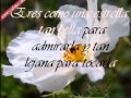 Jaci  Velasquez  A un paso  De  mi  Amor