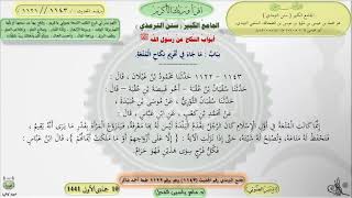 صورة شرح الجامع الكبير سنن الترمذي : باب ماجاء في تحريم نكاح المتعة - الحديث  1143 || ماهر ياسين الفحل