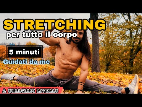 5-Minute Full-Body Stretching | Routine for Flexibility, Elasticity, and Relaxation.