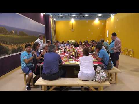 7.Testimonianze dal Meeting di Rimini 2017