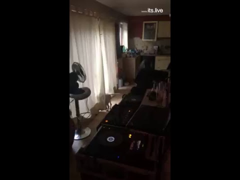 DJ Live Sets After La Bush Reunion