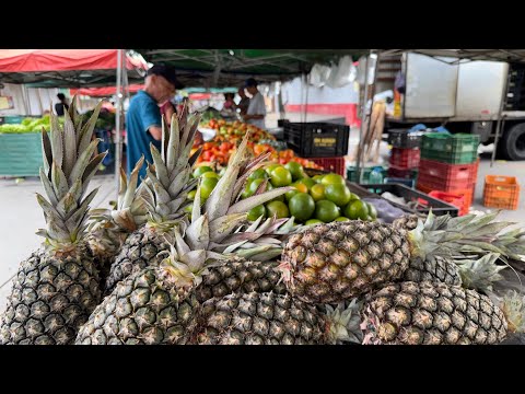 FEIRINHA DA VILA JOÃO VAZ - Goiânia Goiás 