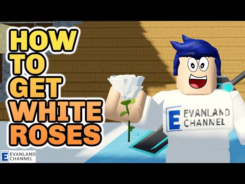 HOW TO GET FERTILE WHITE ROSES IN ROBLOX ISLANDS || FINDING FULCO || WIZARD BOSS UPDATE || EVANLAND