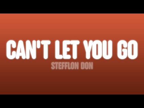 Stefflon Don - Can't Let You Go (Lyrics)