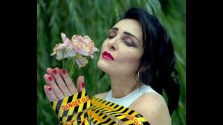 Into a swan Siouxsie