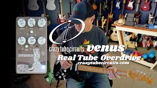 Video thumbnail for Crazy Tube Circuits: VENUS Real Tube Overdrive by Brett Kingman