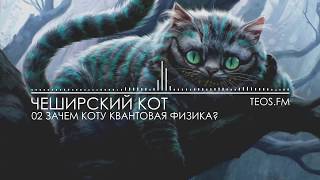 Чеширский кот - Зачем коту квантовая физика?