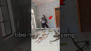 Download lagu This Guy Played Snakes and Ladders With a Real Snake and Almost Got Bitten⁉️😱 mp3