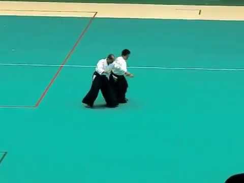 2016 IAF Congress Hiroshi Tada Shihan embu