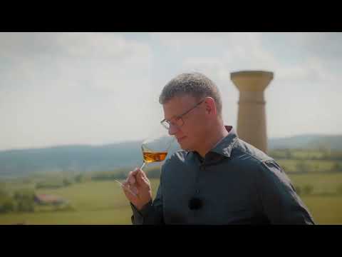 Der Weinkaräter: Was ist Wein? Geschichte, Tradition, Handwerk, Kulturgut