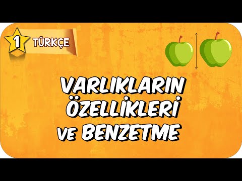 Varlıkların Özellikleri ve Benzetme
