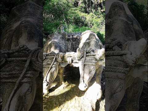 Único del Mundo. Zoológico de Piedra de Guantánamo. #guantanamo #shorts