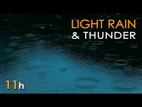 Light Rain & Thunder -  Relaxing Ambient Nature Sounds - 11 Hours - Relax/ Sleep/ Study/ Meditate
