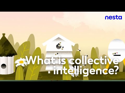 What is collective intelligence? | Nesta