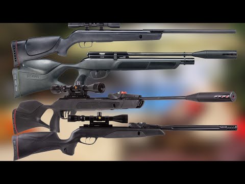 Top 10 Best Gamo Air Rifles 2025 - Best Gamo Air Rifle for Hunting 2025