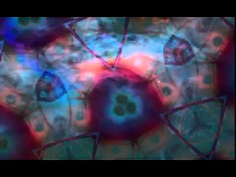 Jose Amnesia v Fedo   I Need You ( R T R  Edit Mix )