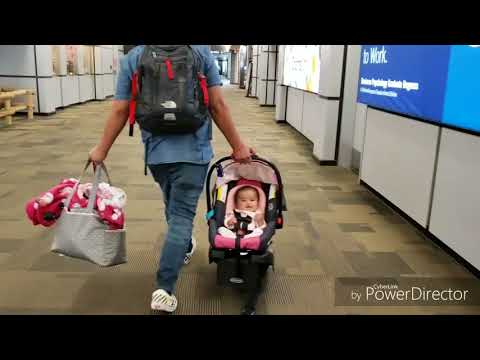 Mus Alaska 8 /28/ 2018