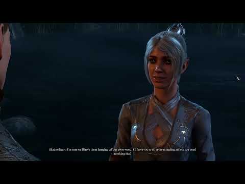 Baldur's gate Epilogue Party, Shadowheart Good/Romance ending, (Withers reuinion)