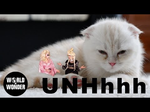 UNHhhh Ep 104: "Astrology Pt 1 - Katya's Taurus Truth" with Trixie Mattel and Katya Zamolodchikova
