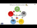 What is Multimedia?  Definition & Elements of Multimedia || Computer Basics