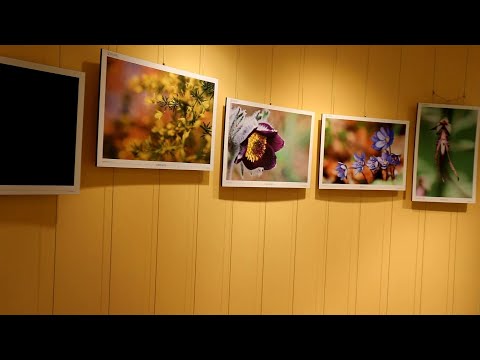 Visita virtuale alla mostra fotografica "Carsiana" del Centro didattico naturalistico di Basovizza