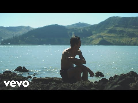 Marlon Williams - Easy Does It (Official Visualiser)