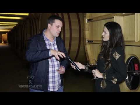 Tim enologa vinarije Tikveš - Vino i vinogradarstvo (1.deo)