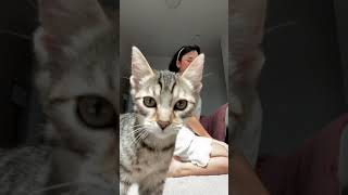 Ever Green sexy OFs Model #shorts #shotvids #viralshots #trendingshorts