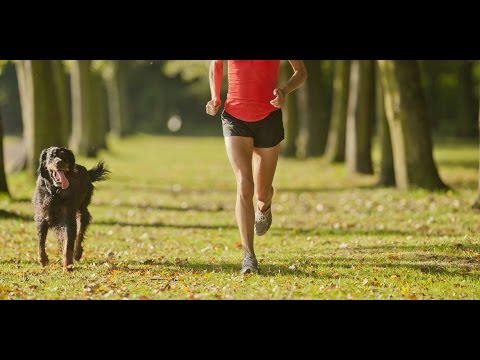 Кочергин :БЕГ!О выносливости в беге.Как правильно бегать и сколько.Допинг перед боем или стартом