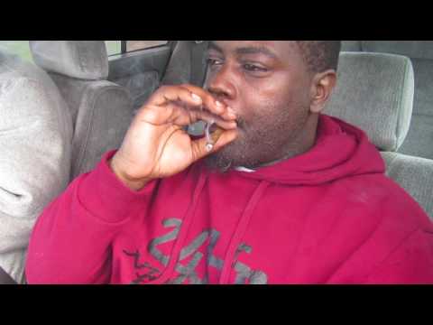 Pooch Beats - Right Here (official video)