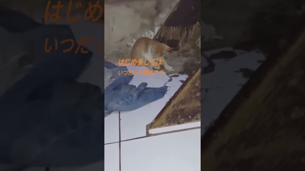 Ada yang mau memberi nama?