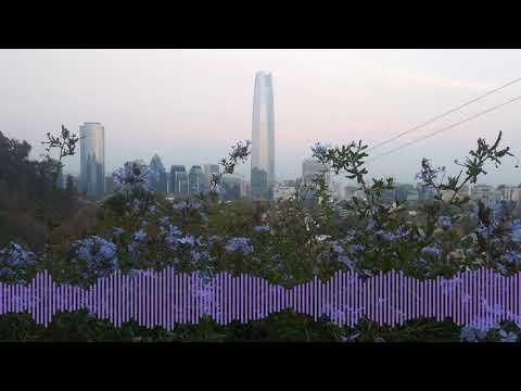 Primavera 2021 Mix (November 19)