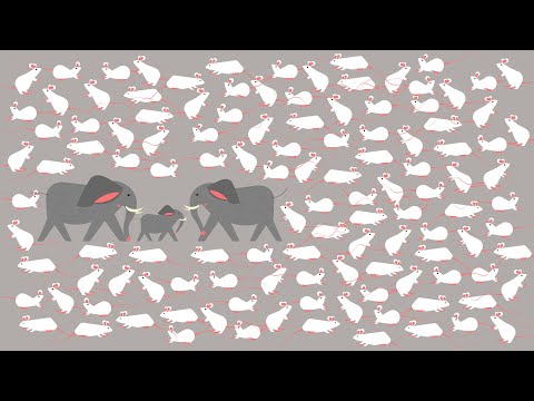 Fortpflanzungsstrategien