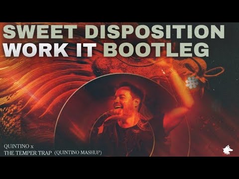 Sweet Disposition vs.Work IT (Quintino Mashup)[Samne Remake]