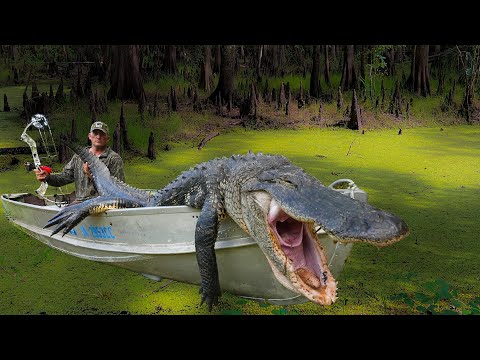 Alligator as big as the boat! {Catch Clean Cook} protecting the local kids!