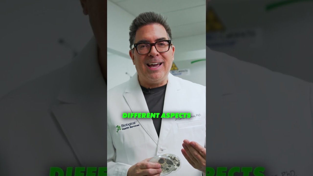 Blood or Urine Mycotoxin Testing  #mouldassessment #mouldillness #mouldrisks