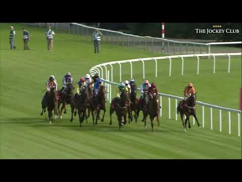 FOUR OF THE FASTEST BETFAIR SPRINT CUPS AT HAYDOCK PARK