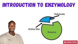 Enzyme catalysis | Enzymes | Active Sites | Enzyme Specificity | Cofactors