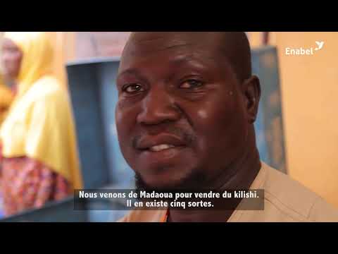 Niger : le projet REEL Mahita, une vitrine pour les micro, moyennes et petites entreprises agricoles du sous secteur de l’élevage