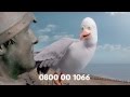 The Full Picture TV Advert Hastings Direct