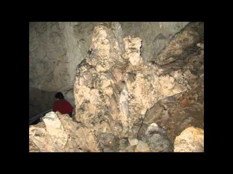 Pestara Meziad (Romania)