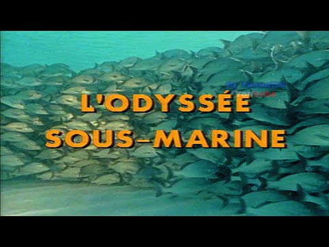 (Doc) L' odyssée Sous - Marine De L'équipe Cousteau - Hippo Hippo.. [1990]