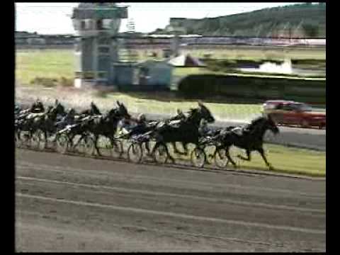 Åby Stora Pris 1996 - Zoogin / Åke Svanstedt