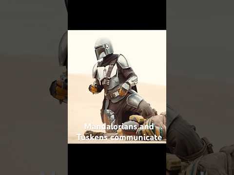 Mandalorians and Tuskens communicate#shorts #shortvideo #series #fouryou