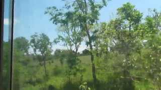 preview picture of video 'Trem do Pantanal ao som de Almir Sater - 2'