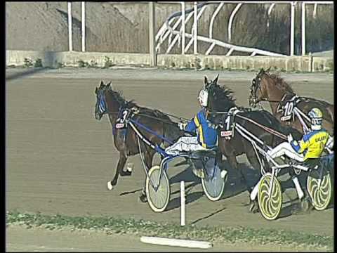 Trotto 27/12/2016 - 2ª corsa