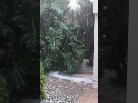 Caída de granizo en San Lorenzo, Santa Fe.🎥 21/04/26 #granizo #tormenta
