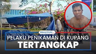 Download lagu Pelaku Penikaman Penjual Semangka di Alun-Alun Kota Kupang Akhirnya Tertangkap mp3 Download lagu Pelaku Penikaman Penjual Semangka di Alun-Alun Kota Kupang Akhirnya Tertangkap mp3