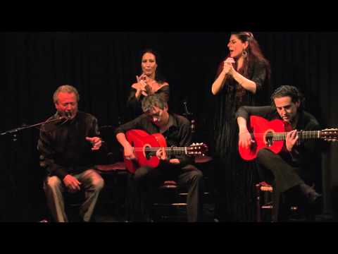 CASA PATAS, FLAMENCO EN VIVO 148 - JOSE TRUCO